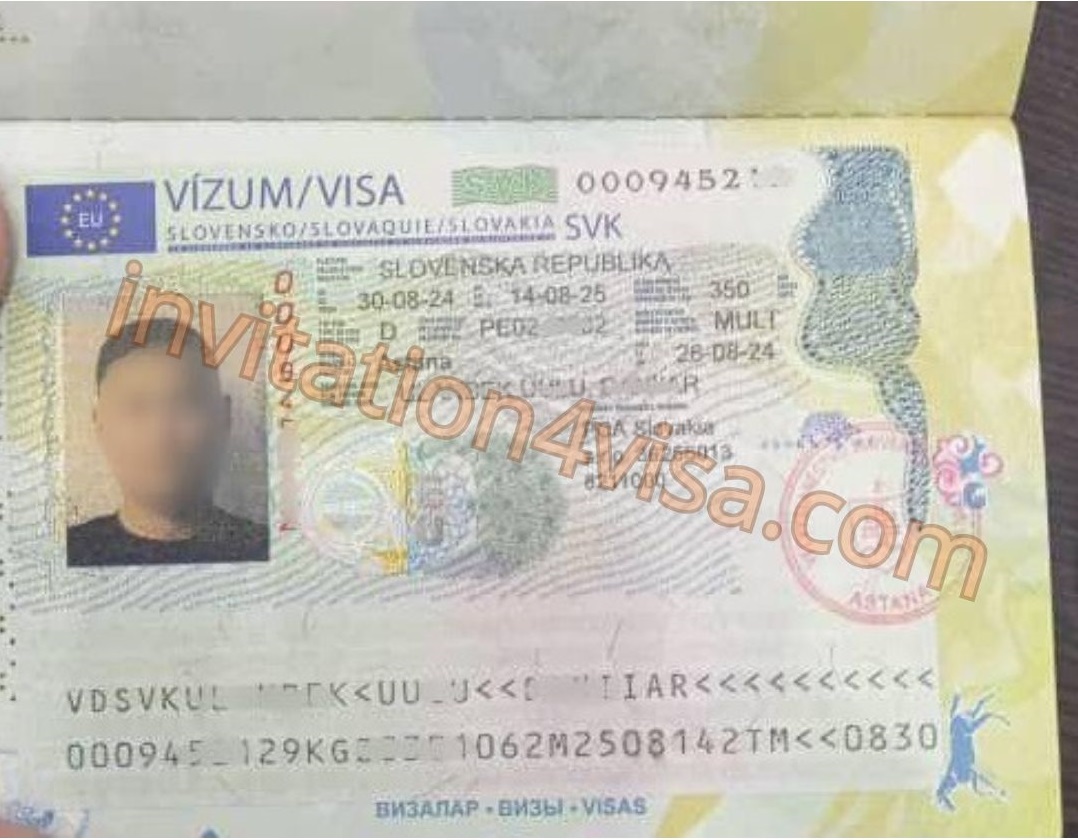 Slovakia work visa D